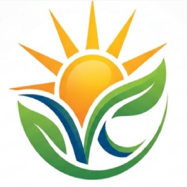 VC Electronics logo